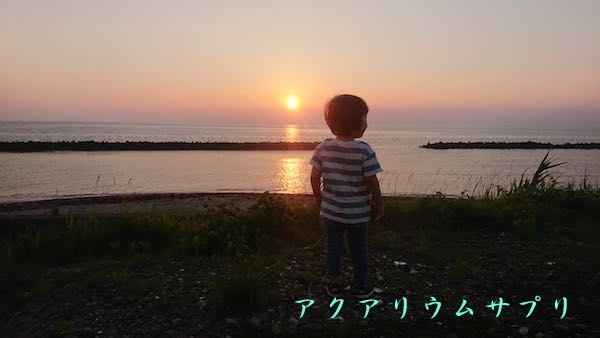 息子と日本海の夕日