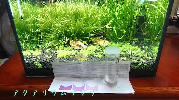 ３０cmキューブ水草水槽の鉄分濃度を計測