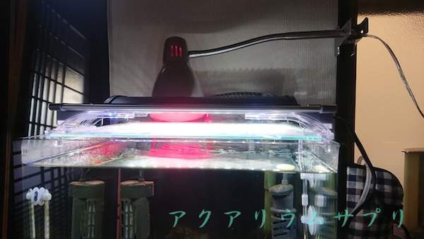 水草用led照明の赤波長と青波長を比較テスト アクアリウムサプリ