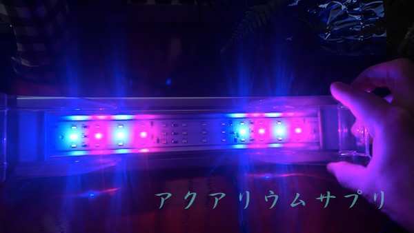 水草用LEDの赤LEDと青LED