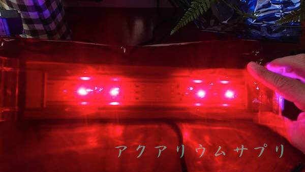 水草用led照明の赤波長と青波長を比較テスト アクアリウムサプリ