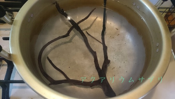 流木の水カビを煮沸で滅菌